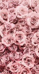 Permanent makeup work by Caress brows LLC in Charlotte, NC