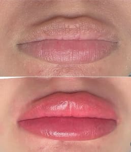 Permanent makeup work by Dreamy Brows and Lashes Microblading Ombre Brows Nano Brows Lip Blush Milwaukie Happy Valley in Happy Valley, OR