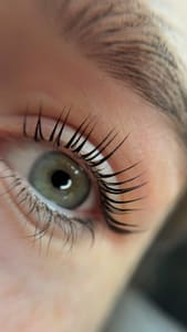 Permanent makeup work by Elysian Salon & Spa in Rochester, MI