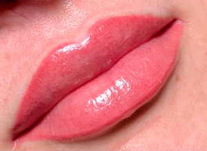Permanent makeup work by Epic Cosmetics Studio in Lakeland, FL