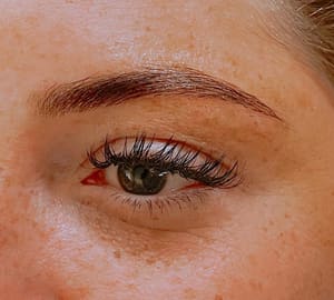 Permanent makeup work by Ferōx Brow Co. in Bend, OR