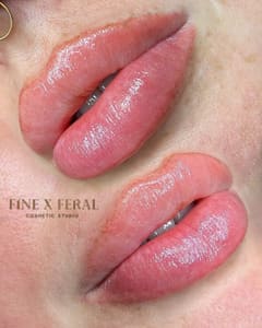 Permanent makeup work by Fine and Feral Cosmetic Studio in Cumming, GA