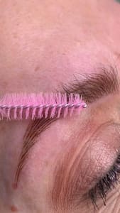 Permanent makeup work by GREAT BROWS in Lakeland, FL