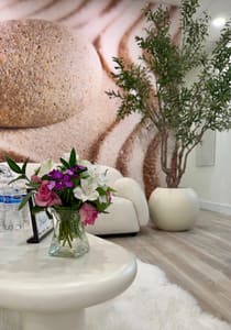 Permanent makeup work by Harmony Permanent Makeup Studio - Microblading eyebrows Eyeliner Lipblush Nano brows Knoxville TN in Farragut, TN