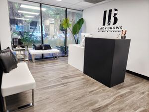 Permanent makeup work by Lady Brows Studio and Academy in Miami Lakes, FL