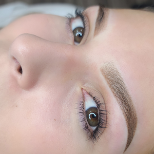 Permanent makeup work by Lady Brows Studio and Academy in Miami Lakes, FL