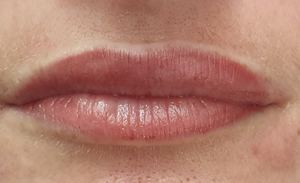 Permanent makeup work by Lasting Beauty Microblading and Permanent Cosmetic Tattoo Eyebrows By Valerie in Havertown, PA