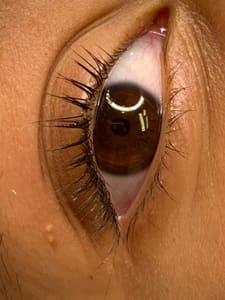 Permanent makeup work by Leylah’s Beauty Box in Chino, CA