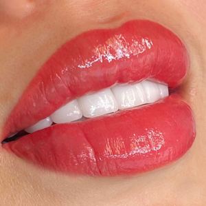 Permanent makeup work by LISA OM Los Angeles Studio & Academy in Los Angeles, CA