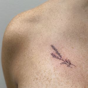 Permanent makeup work by LISA OM Los Angeles Studio & Academy in Los Angeles, CA