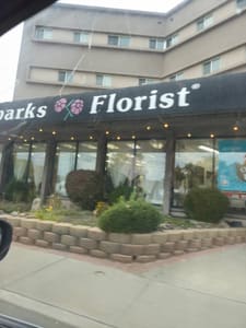 Permanent makeup work by Meraki Salon and Spa in Sparks, NV