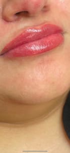 Permanent makeup work by MK Microblading Professionals in St Petersburg, FL