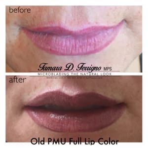 Permanent makeup work by MM Brows in Henderson, NV