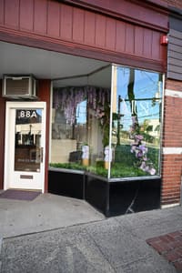 Permanent makeup work by Muse - Luxury Lash & Brow Artistry in Tuckahoe, NY