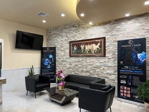 Permanent makeup work by Perfect Skin Studio in Garden Grove, CA