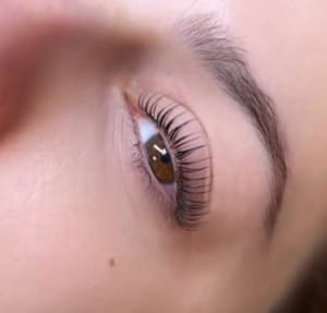 Permanent makeup work by Pink Butterfly Lashes - Lashes, Brows, and Facials in Belvidere, IL