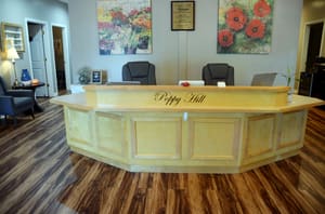 Permanent makeup work by Poppy Hill - A Southern Spa in Richmond Hill, GA