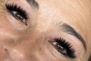 Permanent makeup work by Sapphire Beauty Studio in Reno, NV