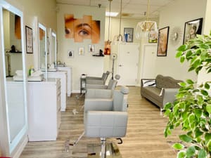Permanent makeup work by Spa Elegant (Eyebrow Threading,Waxing,Facials) in Centreville, VA
