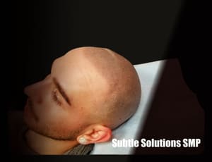 Permanent makeup work by Subtle Solutions Scalp Micropigmentation in Anthem, AZ