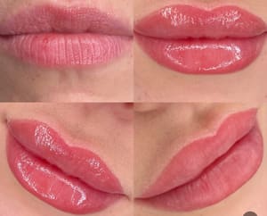 Permanent makeup work by T&T EyesBrows - Microshading Microblading Lips Blush Eyeliner Lashes Hoover Alabama in Hoover, AL