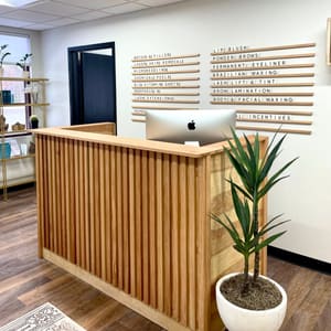 Permanent makeup work by The Aesthetic Collective in Oakdale, MN