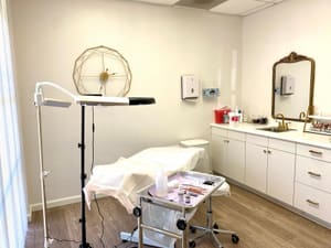 Permanent makeup work by The Blush Brow Studio in Walnut Creek, CA