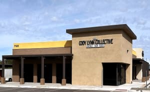 Permanent makeup work by The Cody Lynn Collective in Gilbert, AZ