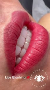 Permanent makeup work by The Lash And Brow Society in Missouri City, TX