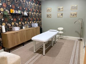 Permanent makeup work by The Skin Studio in Farmington, AR