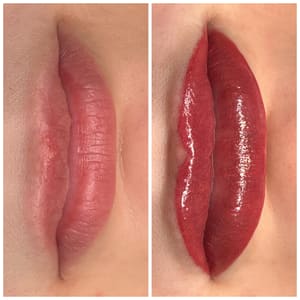 Permanent makeup work by Velvet Ink Studio in Waynesville, NC