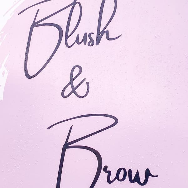 Blush & Brow - permanent makeup work in Midlothian, TX