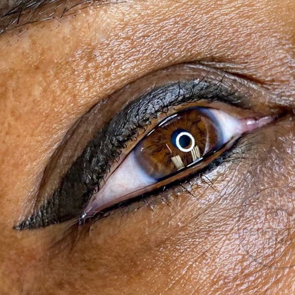 Perfect You PMU - permanent makeup work in Fredericksburg, VA