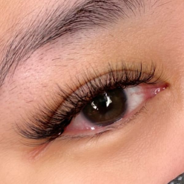 Camellia Beauty Studio - permanent makeup work in Greensboro, NC