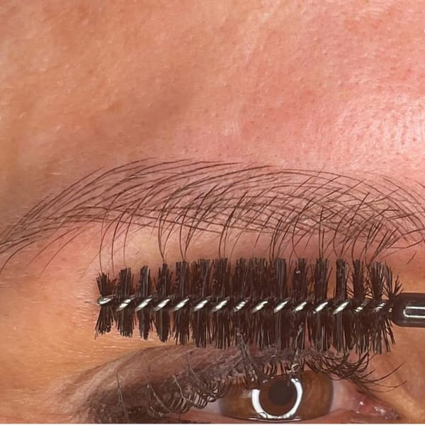 Prowlin' Brows Certified Microblading LLC - permanent makeup work in Plum, PA
