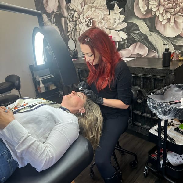 Heartbreaker Brows - permanent makeup work in Capitola, CA