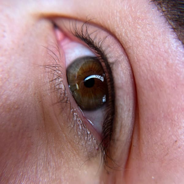 Sirène Ink - permanent makeup work in Chester, PA