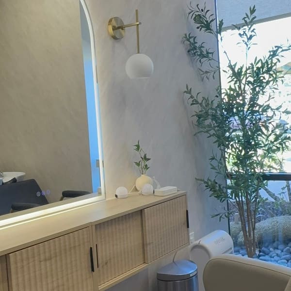Deniz Salon - permanent makeup work in Solana Beach, CA