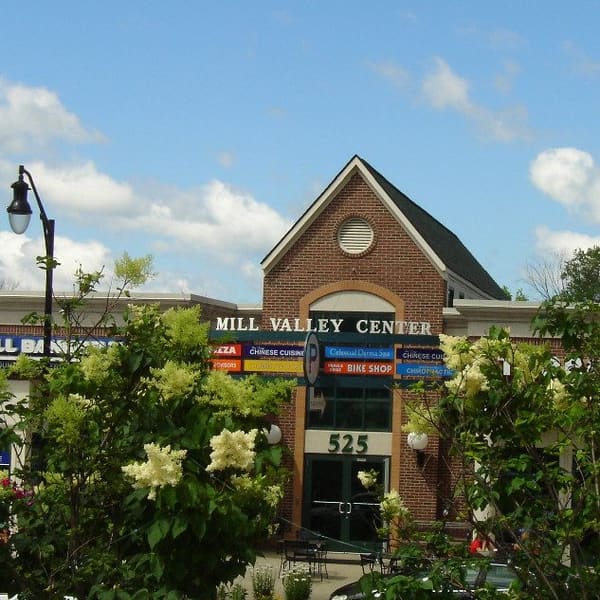 Celestial Derma Spa - permanent makeup work in Milford, MI