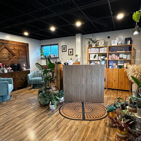 Skin Esthetics Spa by The Lash and Brow Guru LLC - permanent makeup work in Port Huron, MI