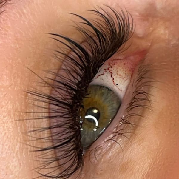 CeCe Parker Wink - permanent makeup work in Concord, NH