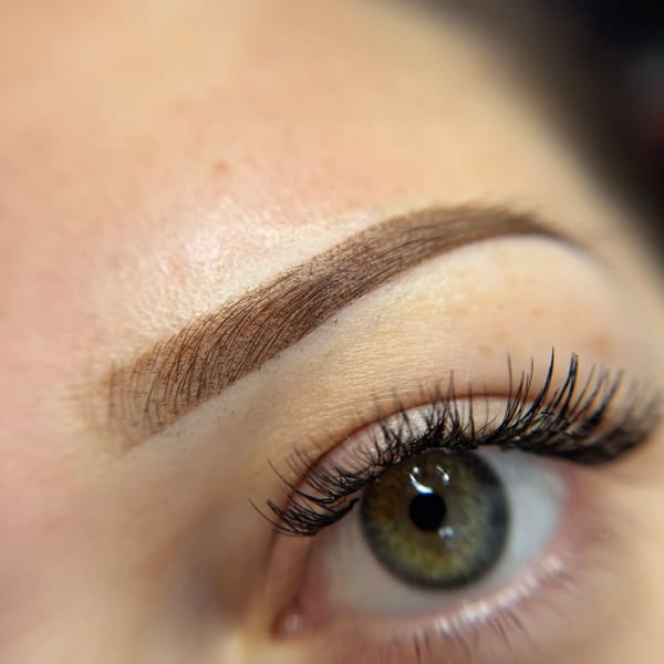 SmudgeProof Brow Studio - permanent makeup work in Zephyrhills, FL