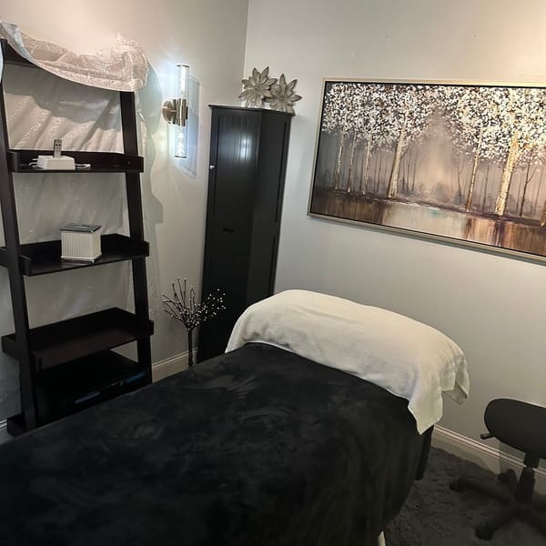 Blissful Journey Day Spa & Permanent Makeup Studio - permanent makeup work in Hillsborough, NC