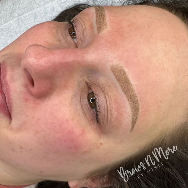 Brows N More by Misti - permanent makeup work in Crowley, TX
