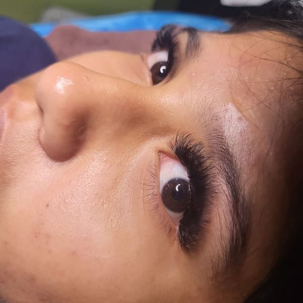 Pro Organic Beauty Salon - powder brows in Los Angeles, CA