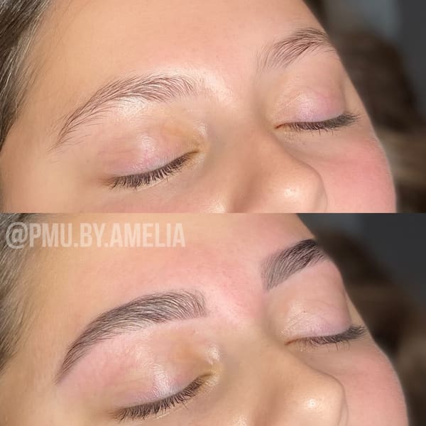 PMU by Amelia Mathews - permanent makeup work in Pasco, WA
