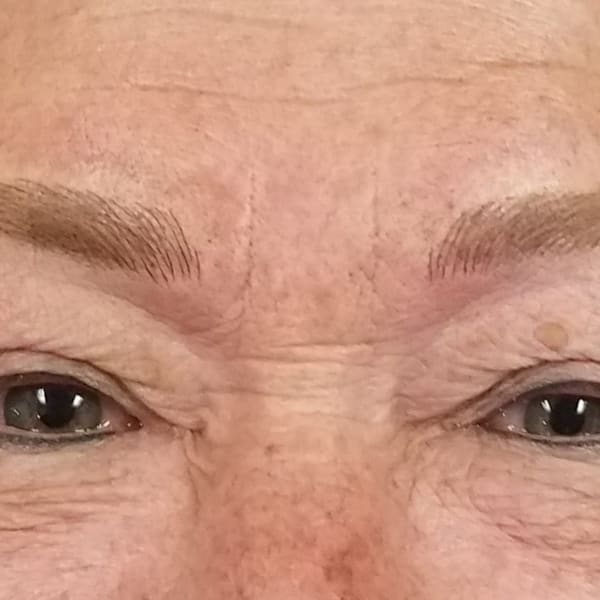 Defining Features Permanent - permanent makeup work in Englewood, FL