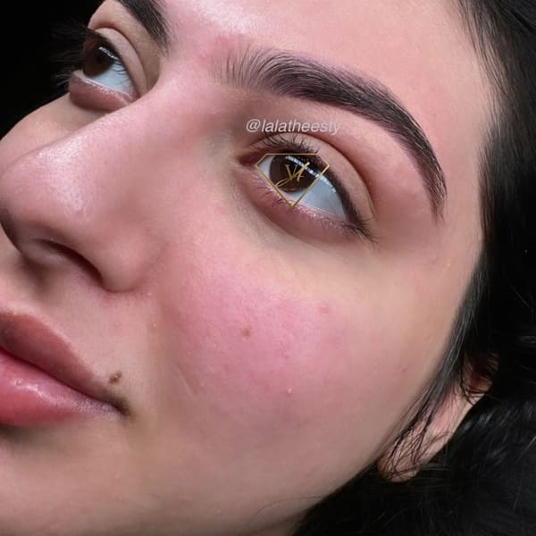 Very Aesthetic Skin + Brows - permanent makeup work in Franklin, TN