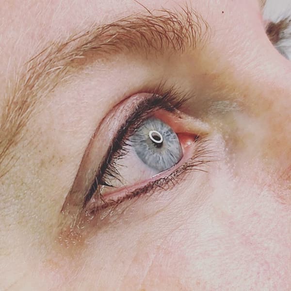 Brows by Jan - permanent makeup work in Pryor, OK