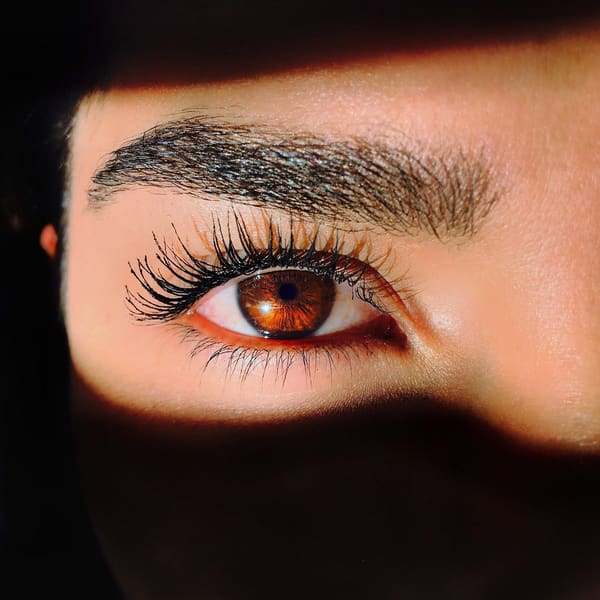 Eyebrow Envy - permanent makeup work in Glendale, WI
